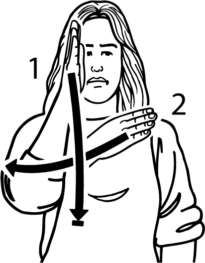 holy-269-high_resolution.png - main