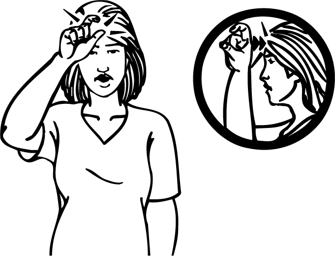 Turkey-2691-high_resolution.png - main