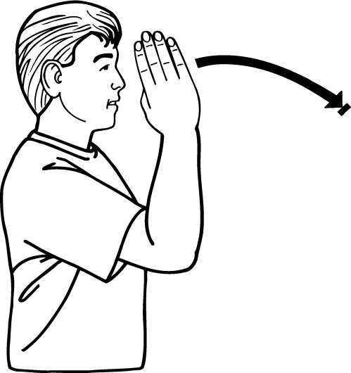 straight-271-high_resolution.png - main