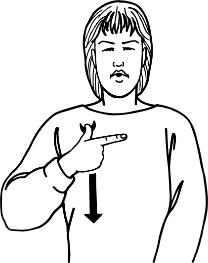 because-2722-high_resolution.png - main