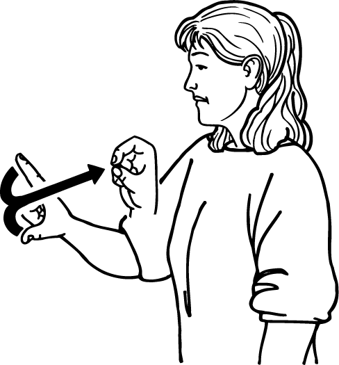 choose-2774-high_resolution.png - main