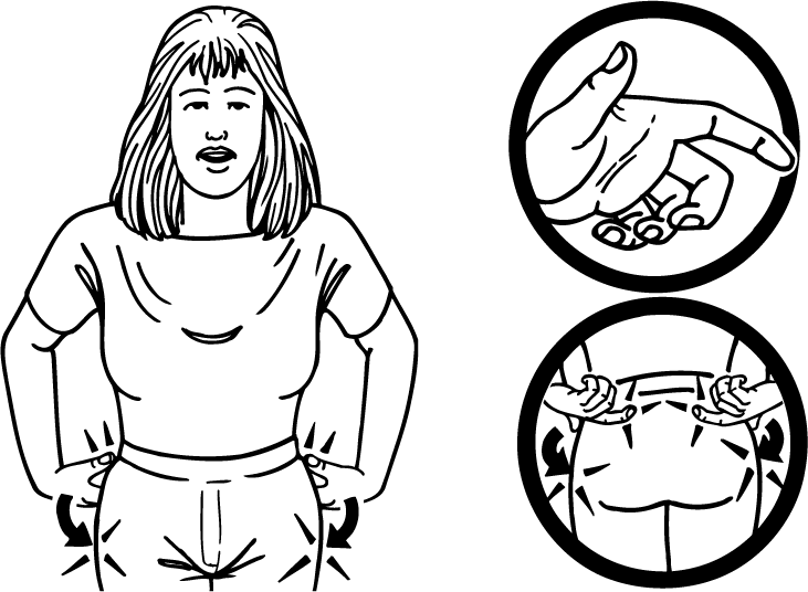 kidney-2810-high_resolution.png - main