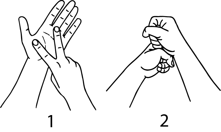 vegetable-2888-high_resolution.png - main