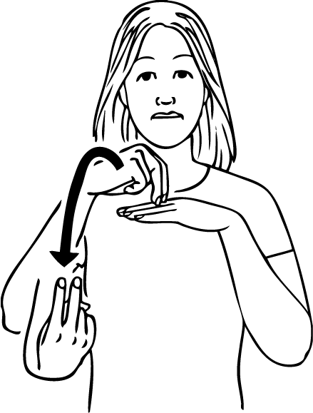 dive-2891-high_resolution.png - main