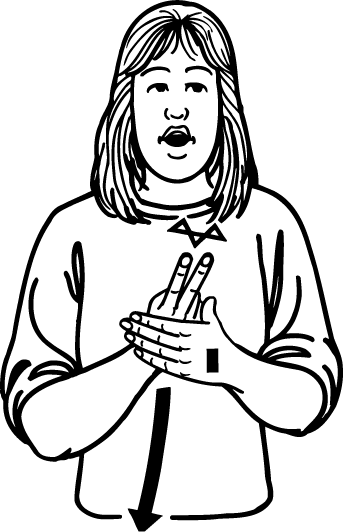 dive-2894-high_resolution.png - main