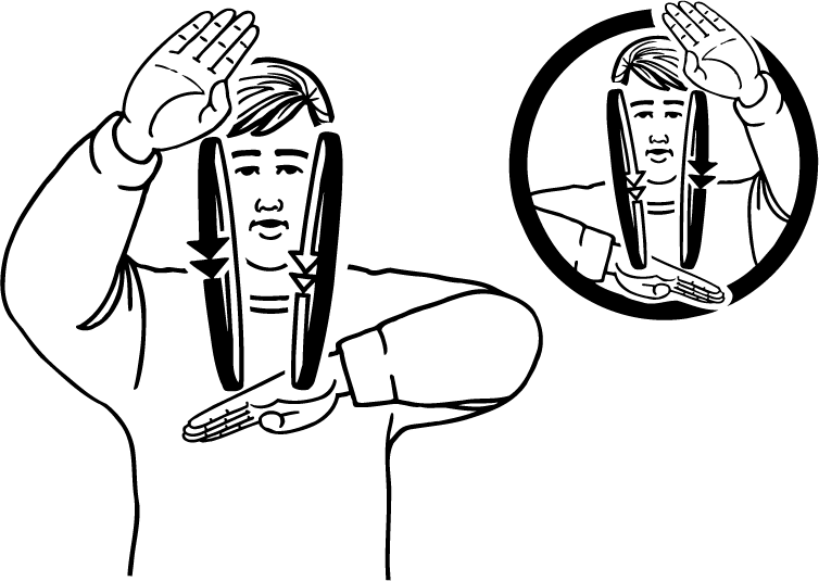 wallpapering-293-high_resolution.png - main