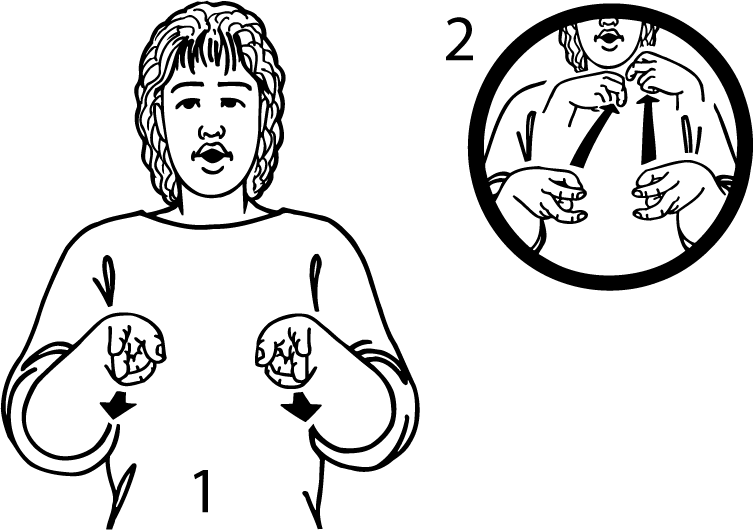 forceps-2932-high_resolution.png - main