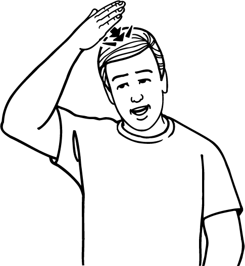 clever-295-high_resolution.png - main