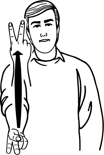 get_stuffed-2970-high_resolution.png - main