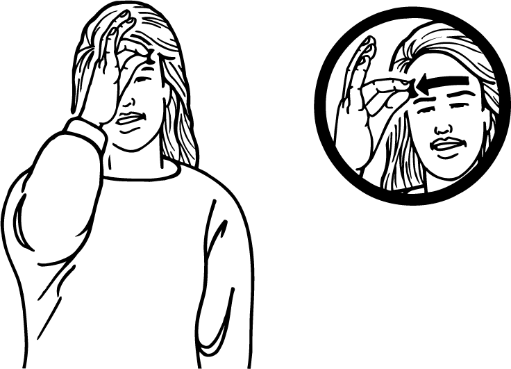 crave-2988-high_resolution.png - main