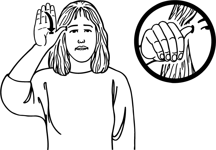 fool-301-high_resolution.png - main