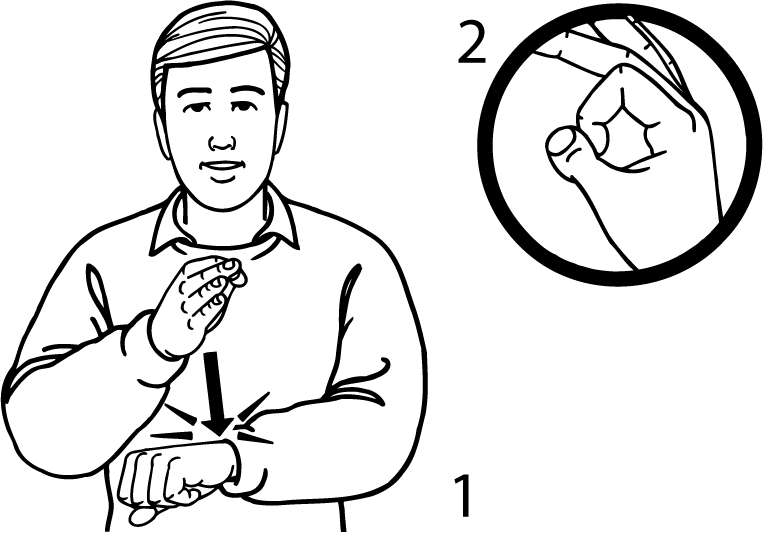 watch-3044-high_resolution.png - main