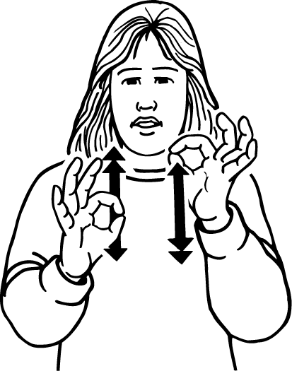 budget-3102-high_resolution.png - main