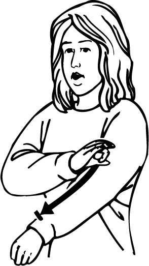 bone-3131-high_resolution.png - main