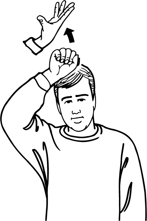 whale-3161-high_resolution.png - main