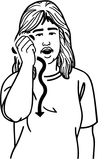 carve-3167-high_resolution.png - main