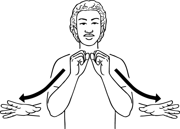 mess-3252-high_resolution.png - main