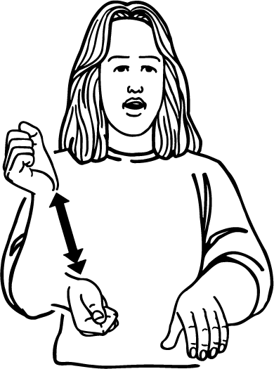 butcher-3288-high_resolution.png - main