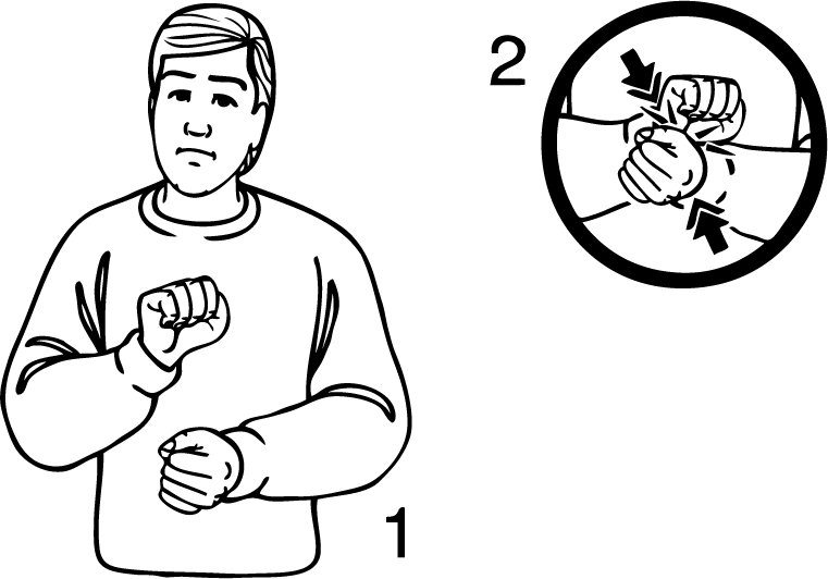 Saturday-3355-high_resolution.png - main