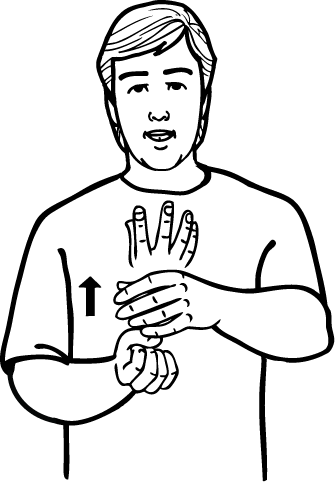 spring-3417-high_resolution.png - main