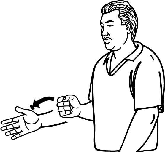 koha-3446-high_resolution.png - main