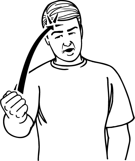 fool-3511-high_resolution.png - main