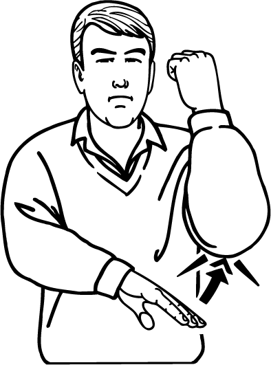 bottom-355-high_resolution.png - main