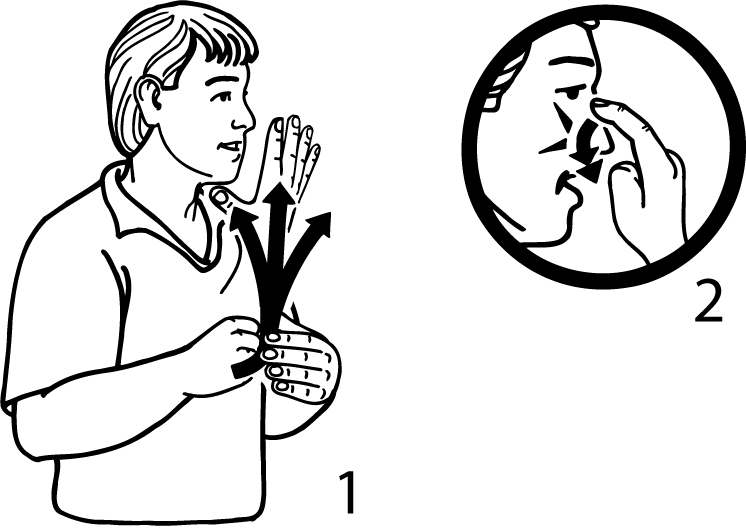 spring_onion-3556-high_resolution.png - main