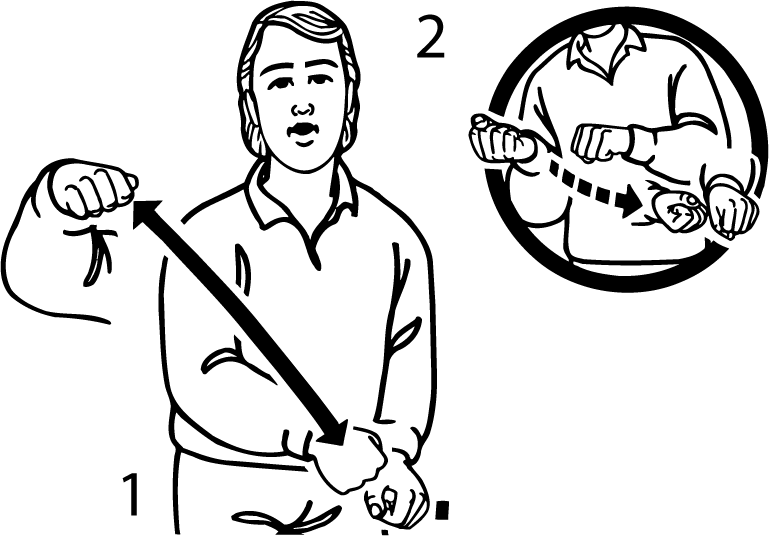 chainsaw-3564-high_resolution.png - main