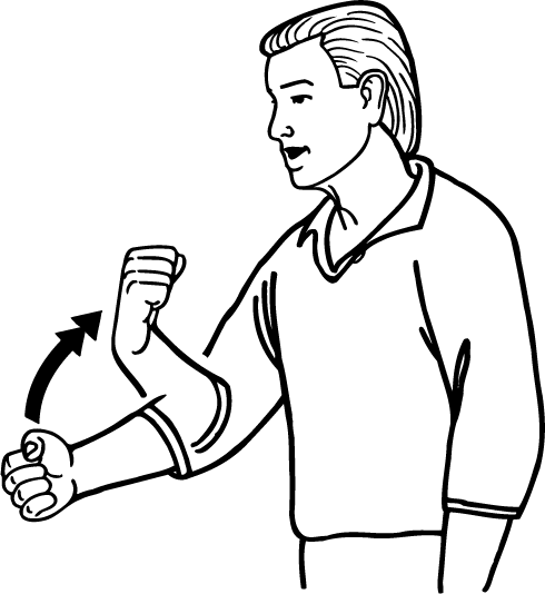 mussel-3574-high_resolution.png - main