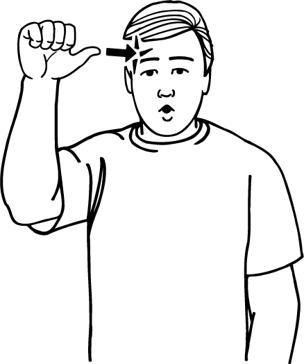 know-3618-high_resolution.png - main