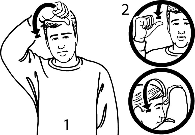 bald-3619-high_resolution.png - main