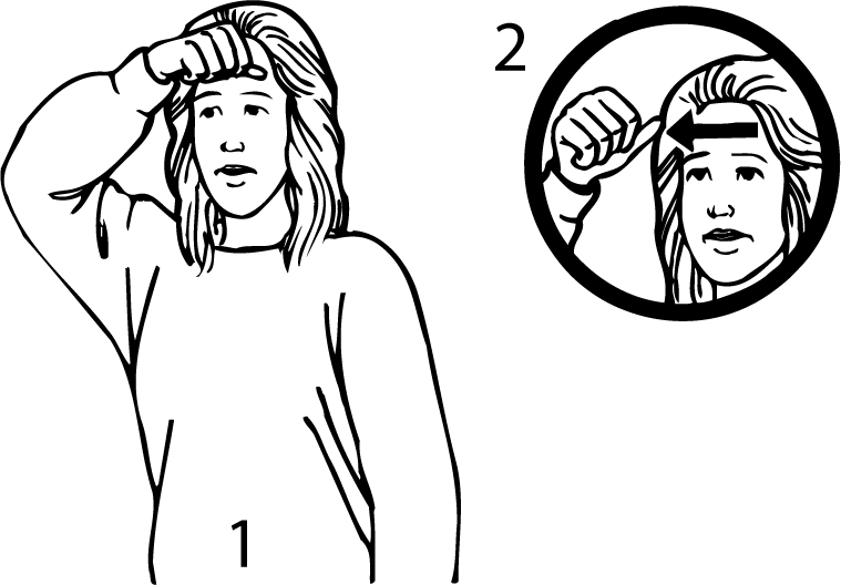 expert-3621-high_resolution.png - main