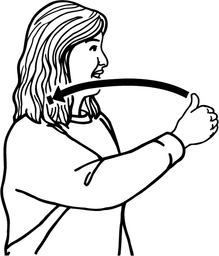 back-3637-high_resolution.png - main