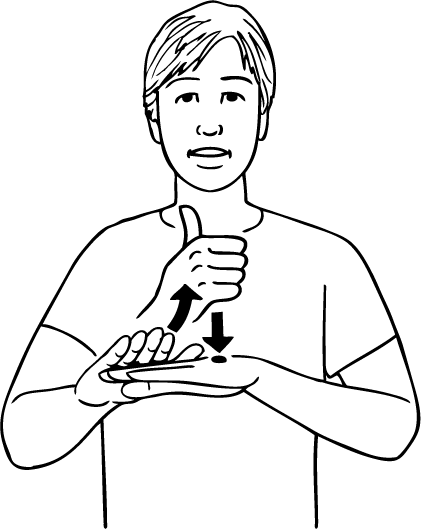 establish-3736-high_resolution.png - main