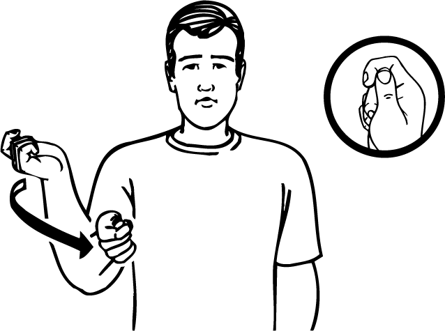 whip-3901-high_resolution.png - main