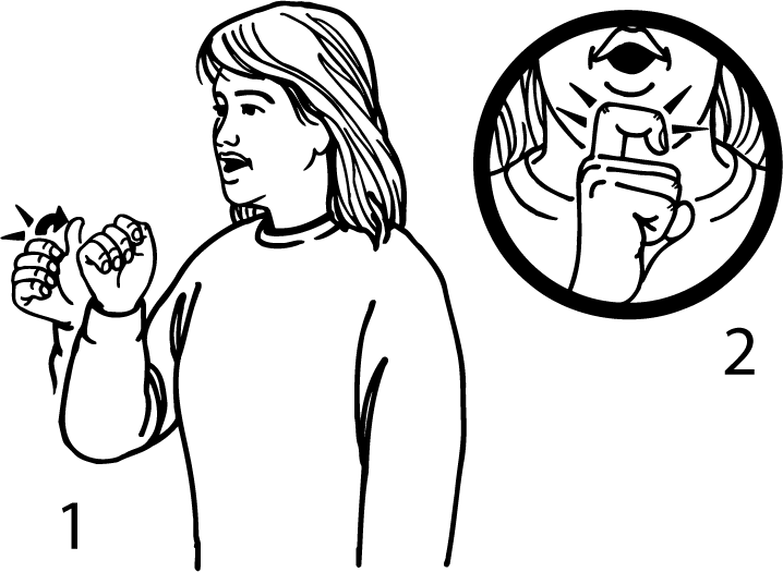 afternoon-3902-high_resolution.png - main