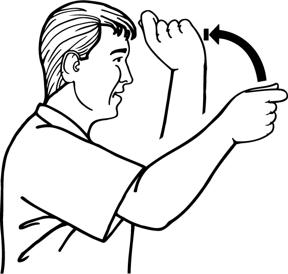 club-3912-high_resolution.png - main