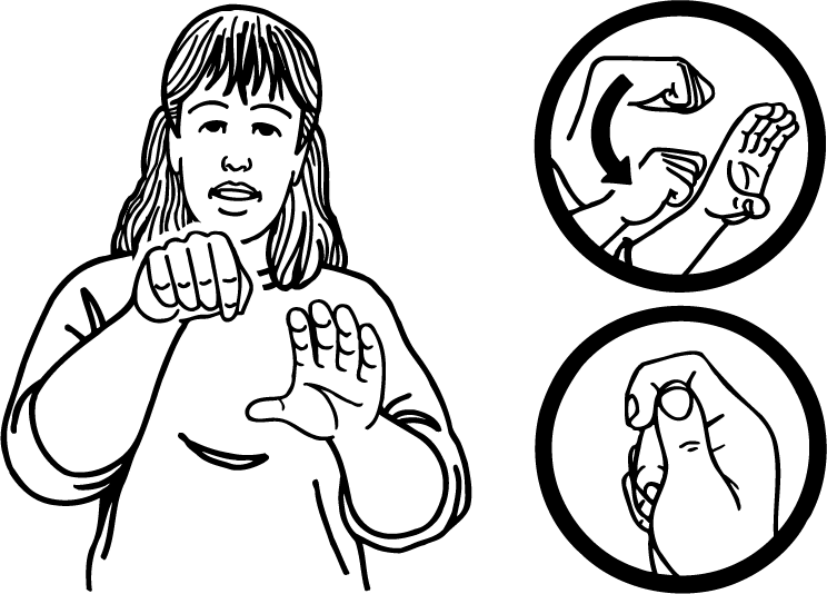 episiotomy-3956-high_resolution.png - main