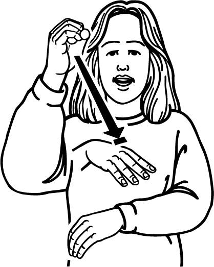 x_ray-3985-high_resolution.png - main