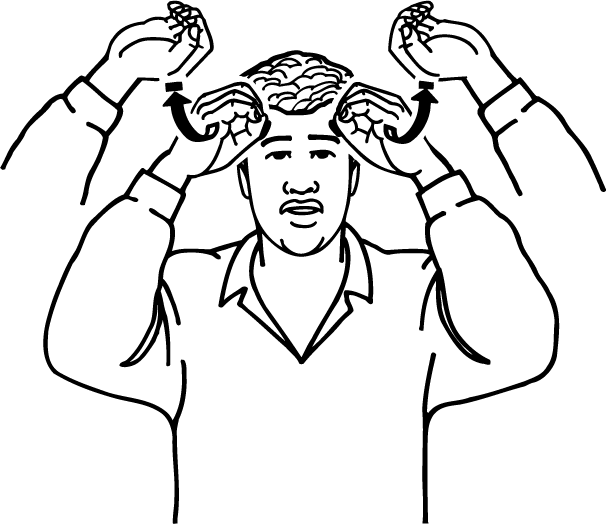 cow-4008-high_resolution.png - main