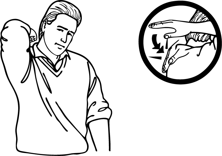 back-406-high_resolution.png - main