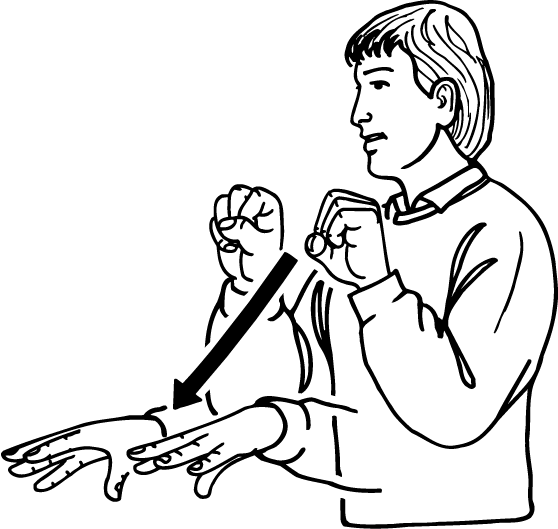 fussy-4070-high_resolution.png - main