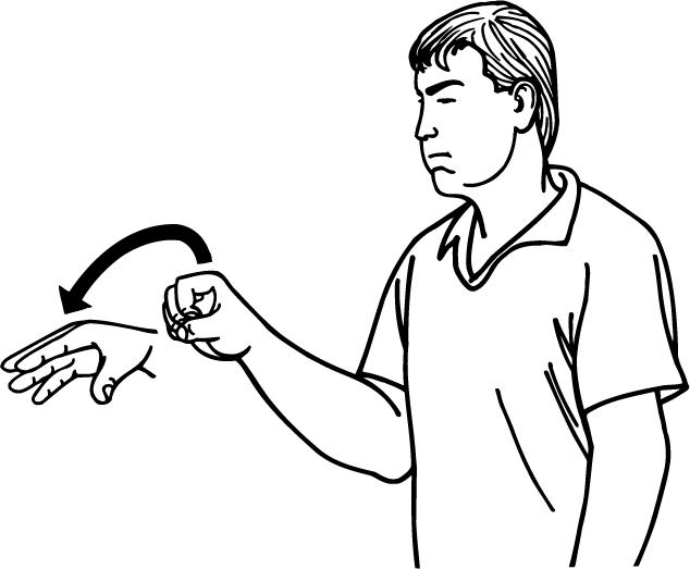 put-4138-high_resolution.png - main