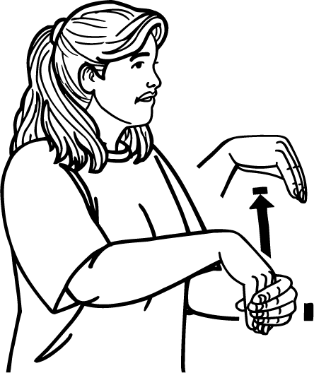 election-4168-high_resolution.png - main