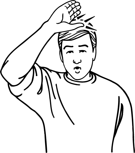 bald-4185-high_resolution.png - main