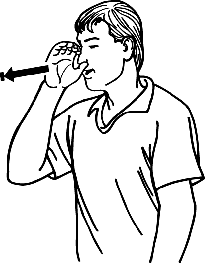 pig-4195-high_resolution.png - main