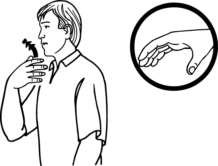 fruit-4199-high_resolution.png - main