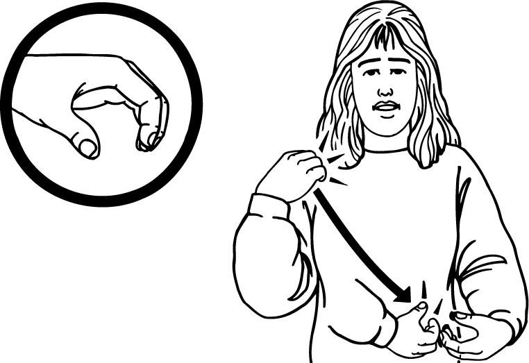 seat_belt-4220-high_resolution.png - main