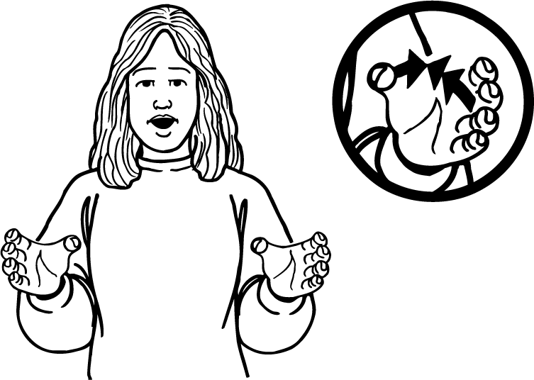 crab-4233-high_resolution.png - main